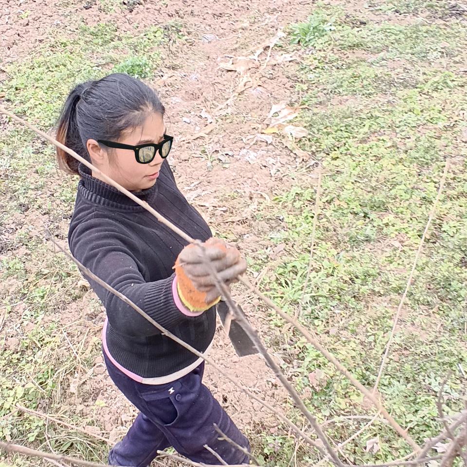 吴大姐天天开心