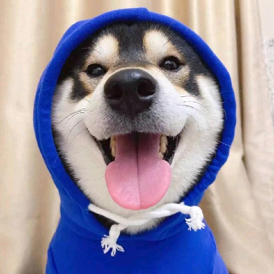 小宝