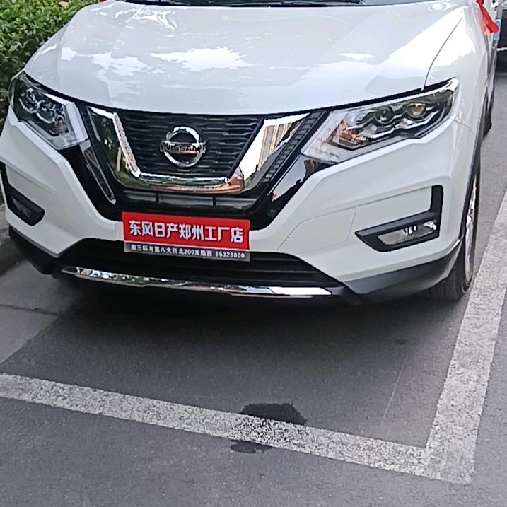 老苗
