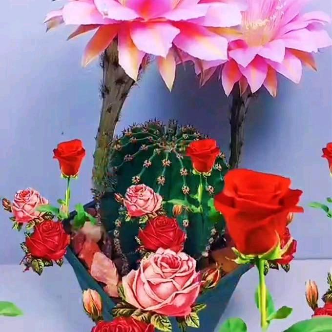 李益兵怜花惜玉（👍）