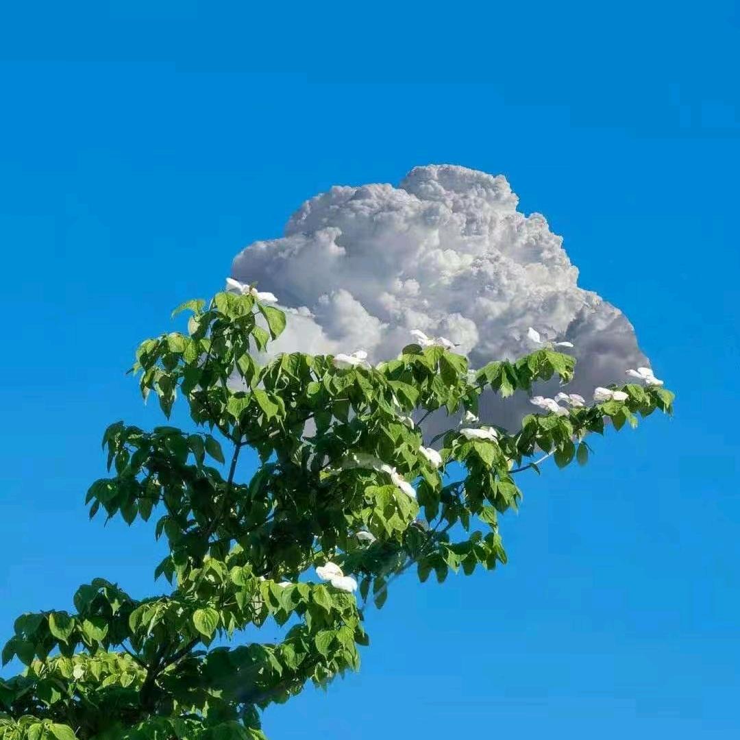 感悟