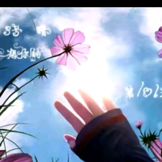 ╭(╯一抹，阳光╰)╮