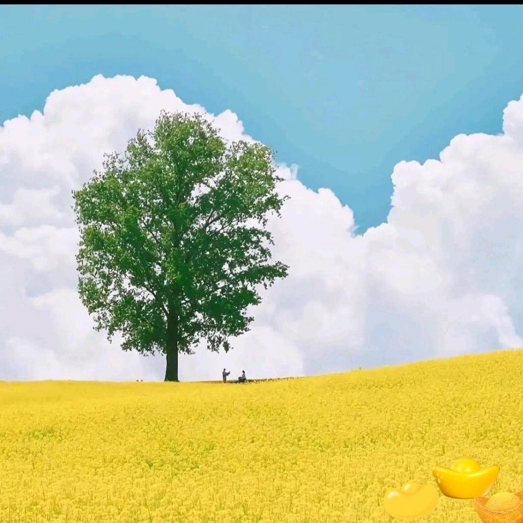 夏安