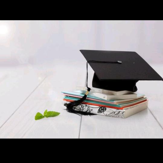 陶老师讲升学规划
