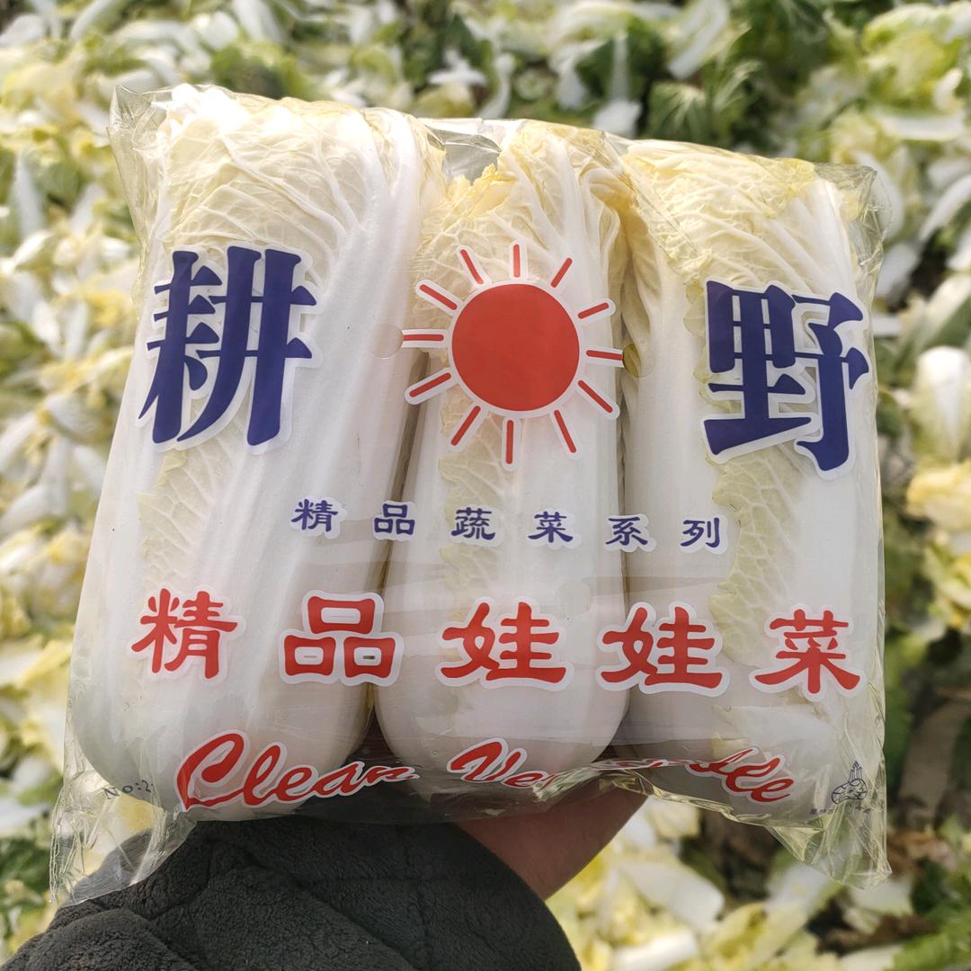 草莓🍓