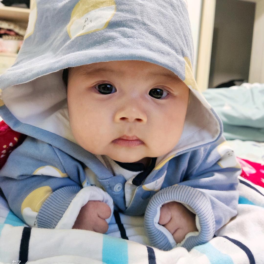 出售黄豆秸秆草料（有幼犬）