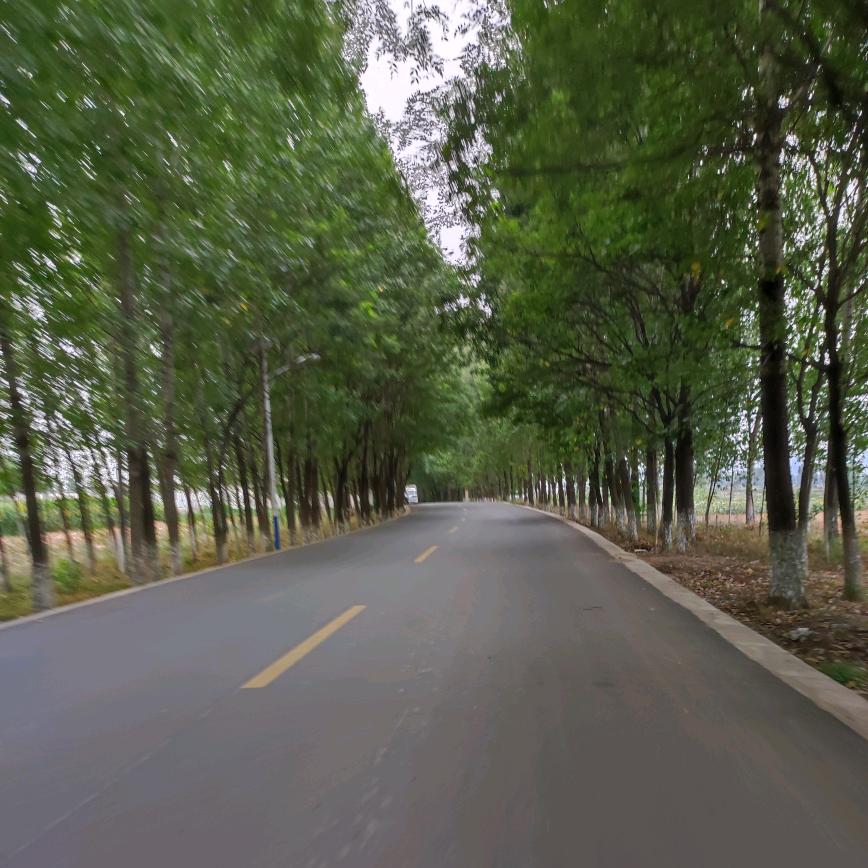 永无止境的伤痛