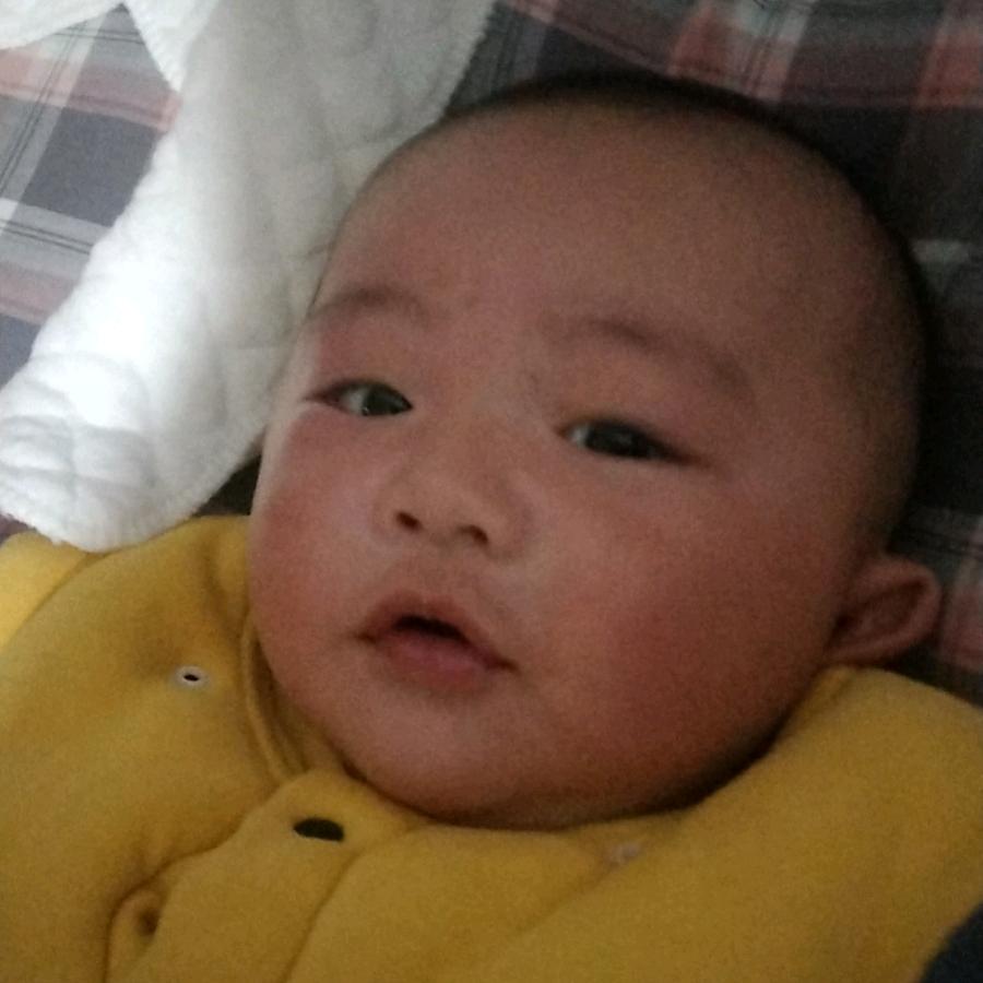 @哲羽（一一）