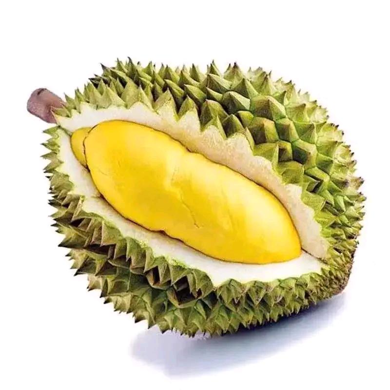 百万苗圃