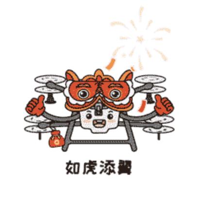 冒牌飞行员