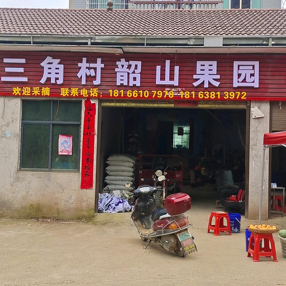 邵阳县三角村韶山果园