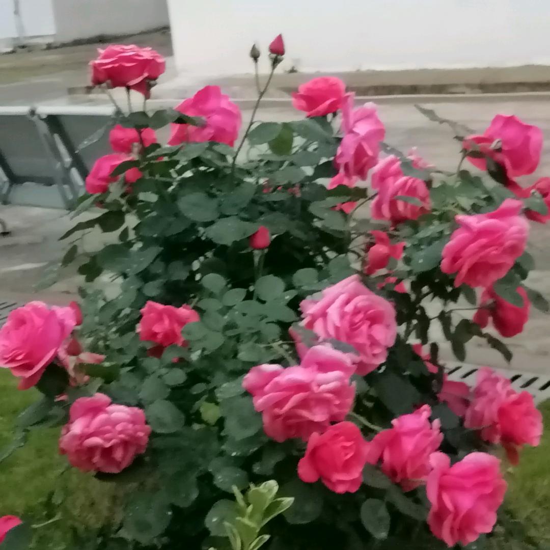 言而有信的太阳