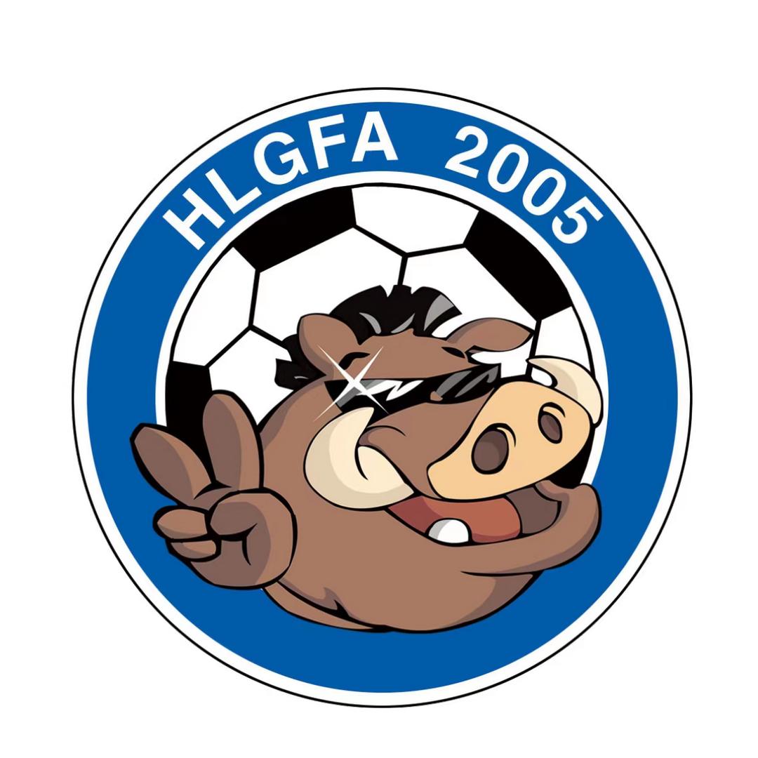 回龙观镇回超大球场