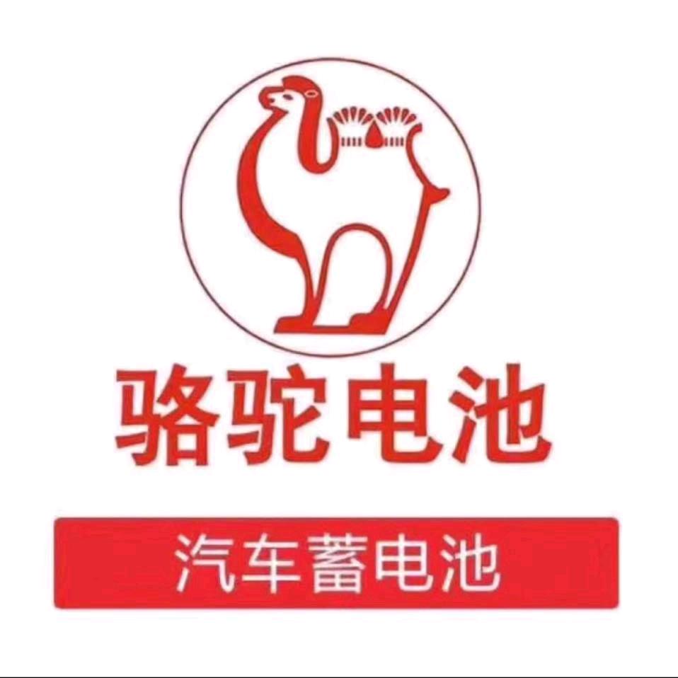 白芒营骆驼蓄电池总经销
