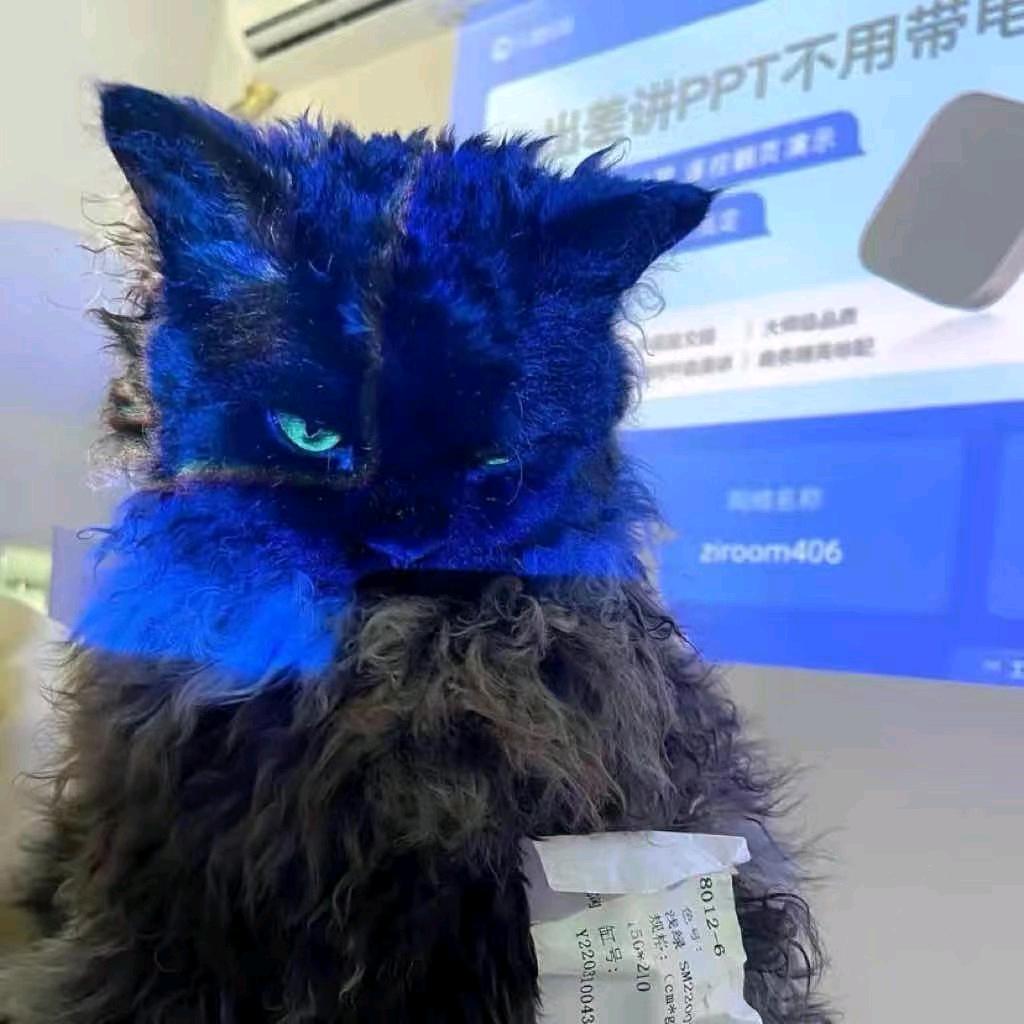 落空kk