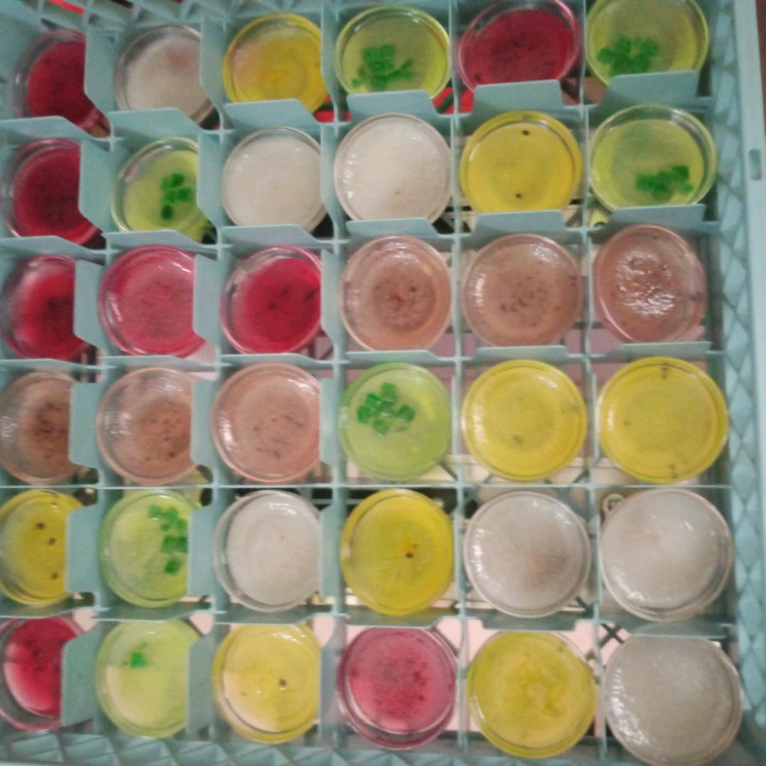 燕子美食小吃