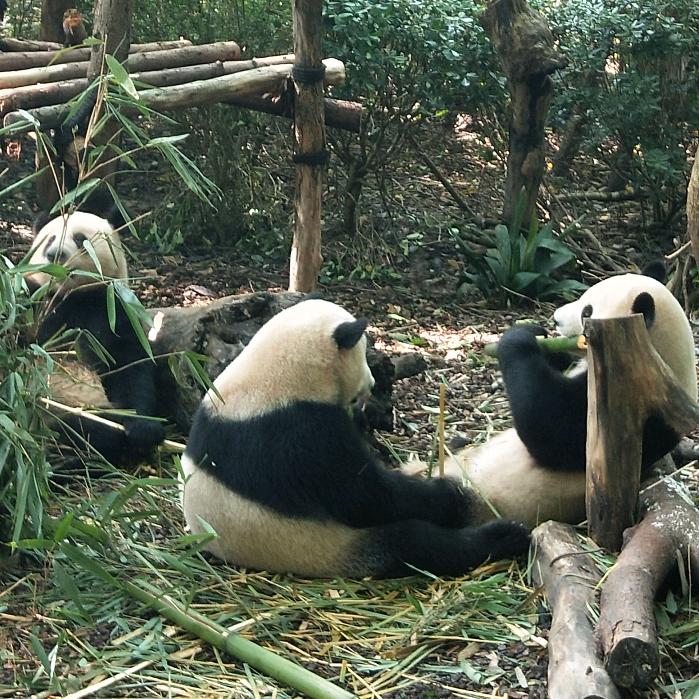 无眠