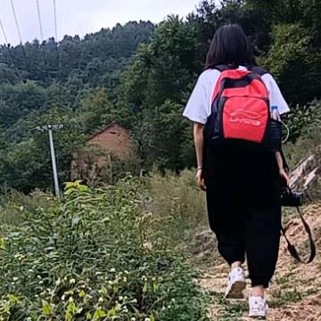 黄小黄走陕西
