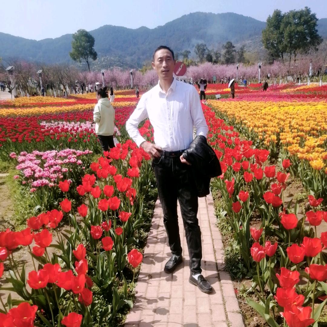 拼博一生
