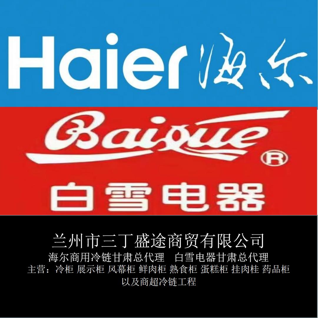 天山白雪商业冷柜商贸