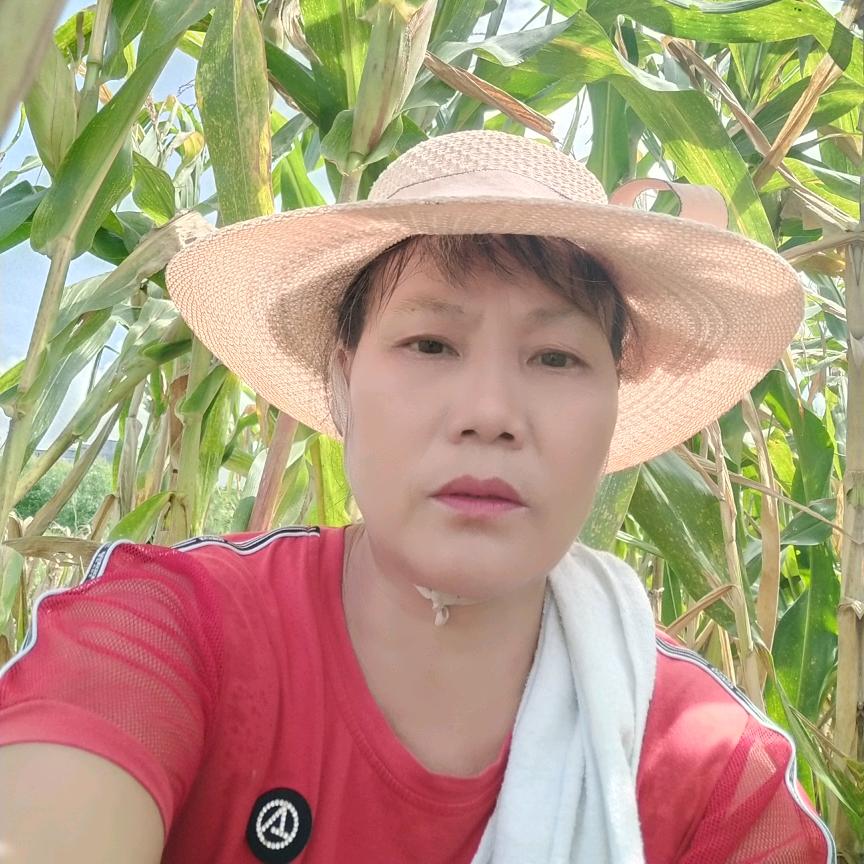 罗东红