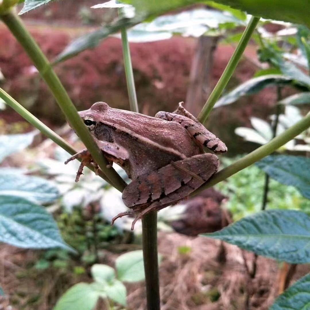 七米山云南七米山食品有限公司滋补专卖店