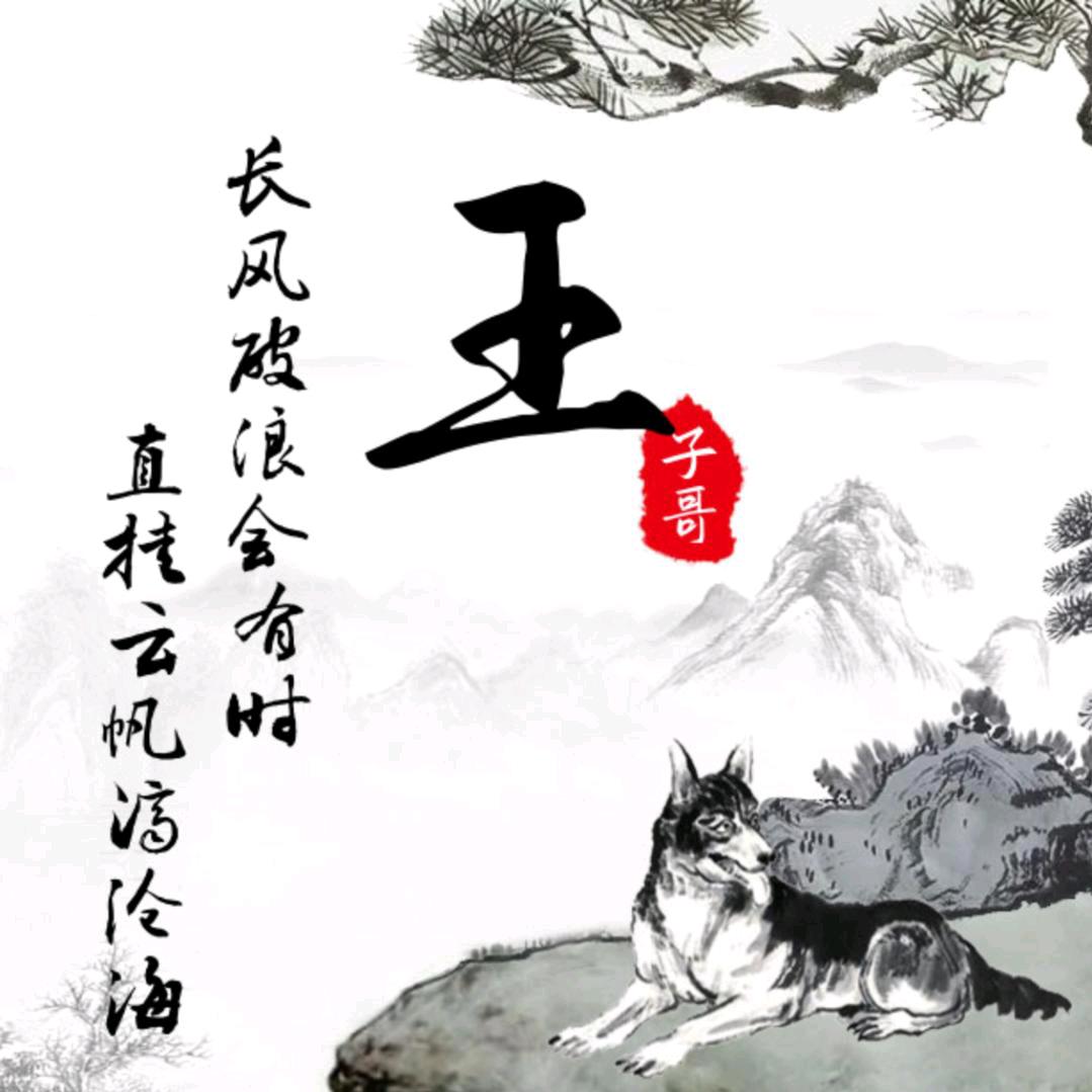 王子哥