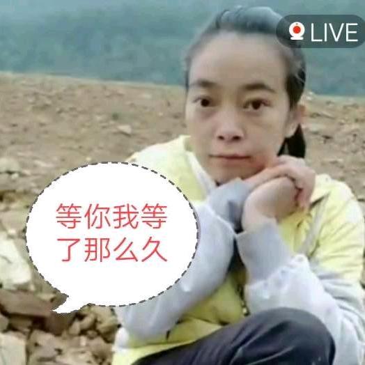 勇敢的心