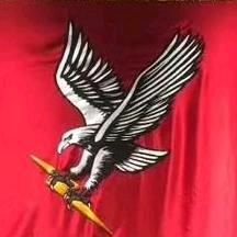 童向标——猎鹰教官（军事夏令营）