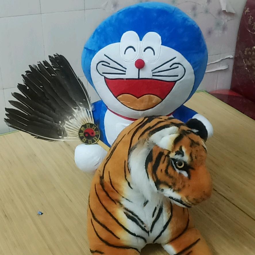 中华龙🐉