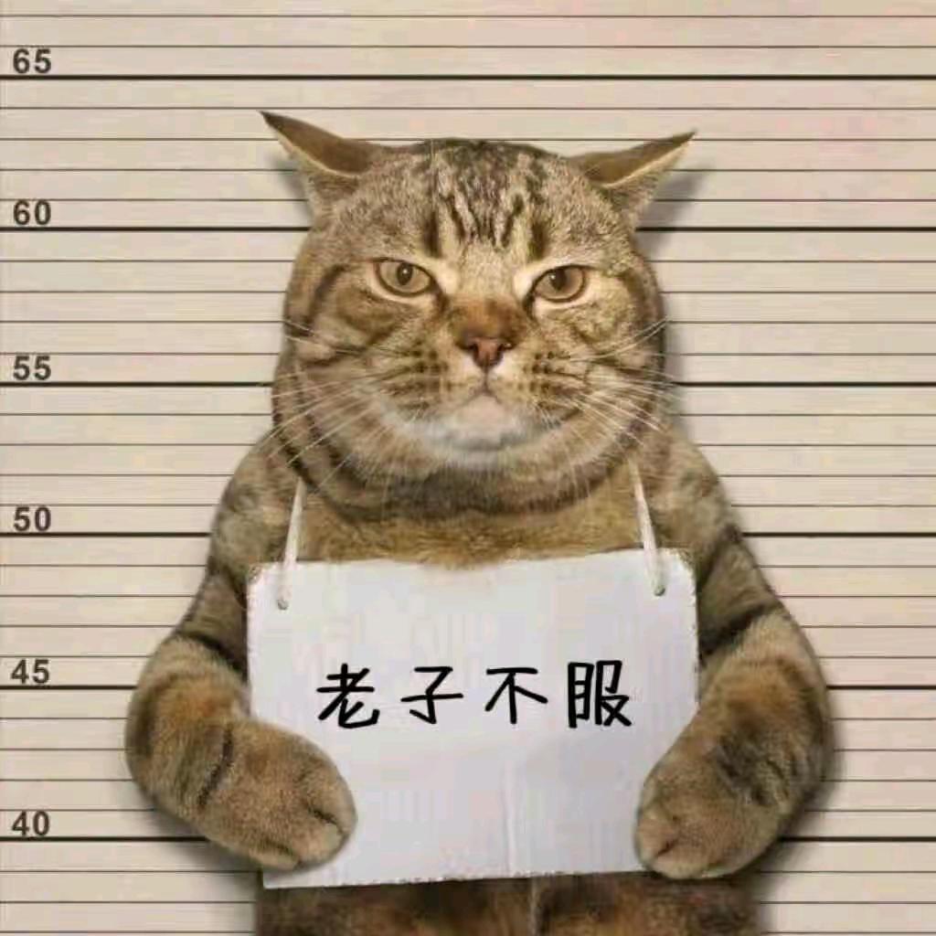 ♡深情不及久伴