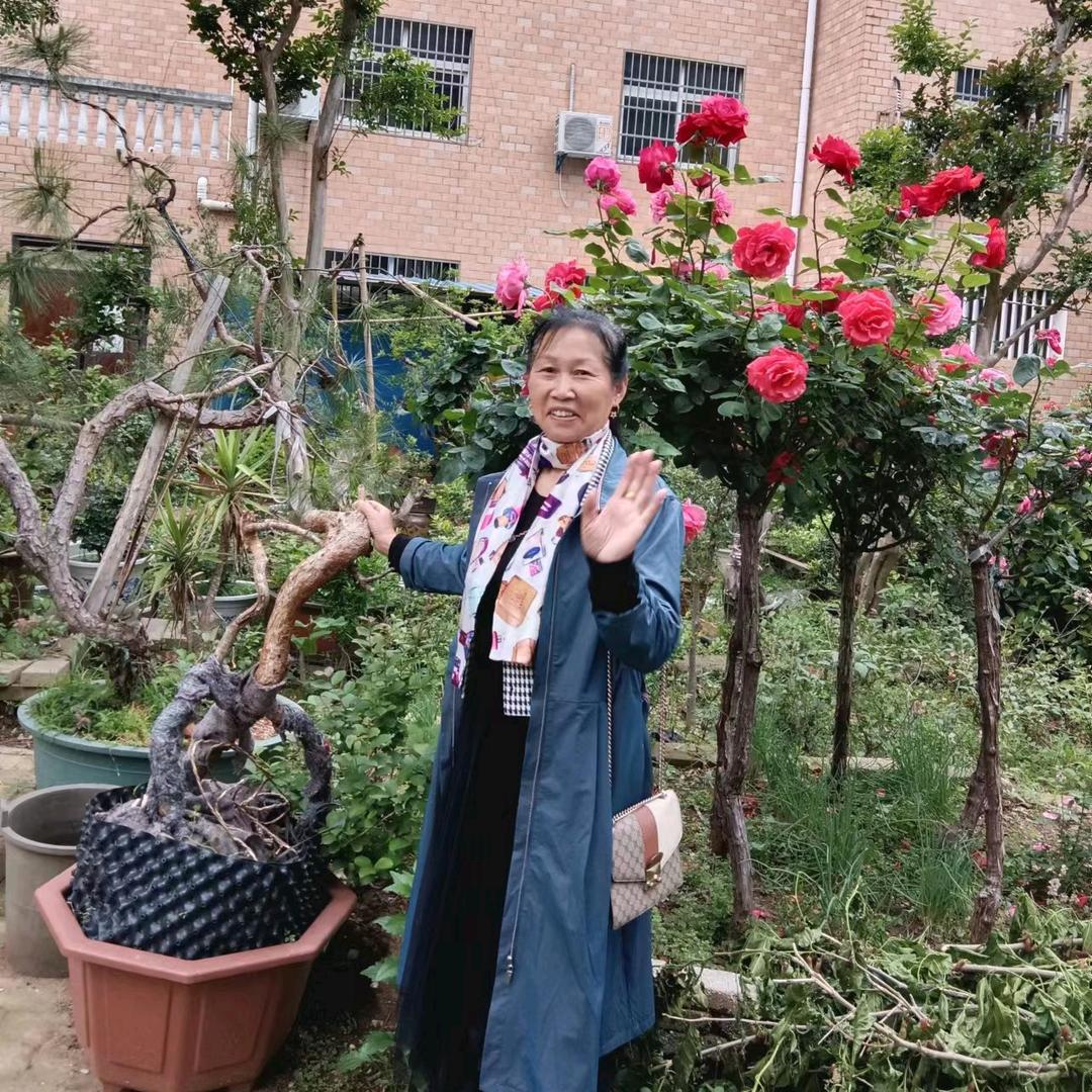 佳怡奶奶
