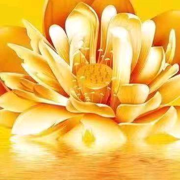 螺旋输送机厂家