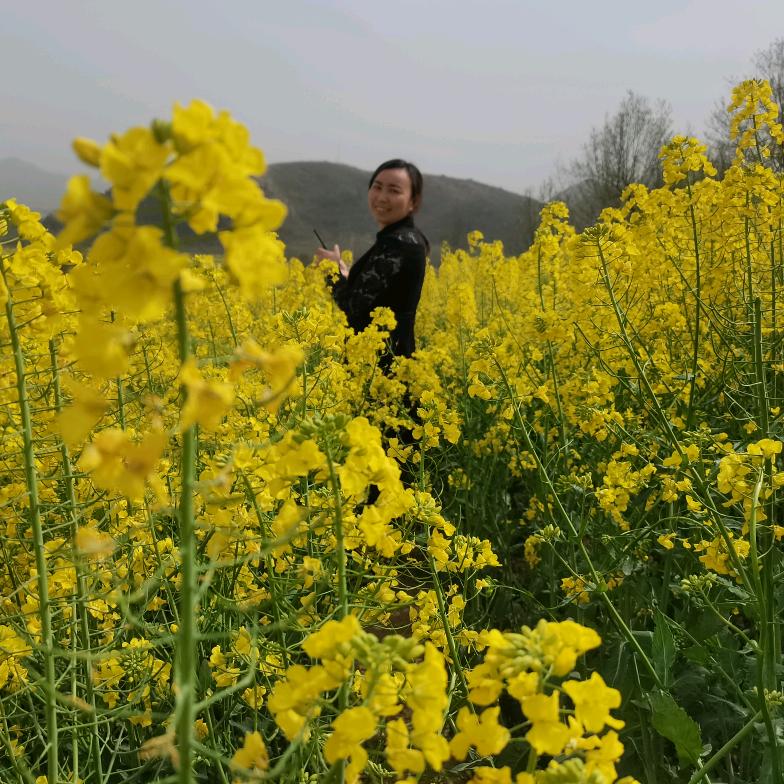@এএ᭄若 只如初见ꦿ໊ོ