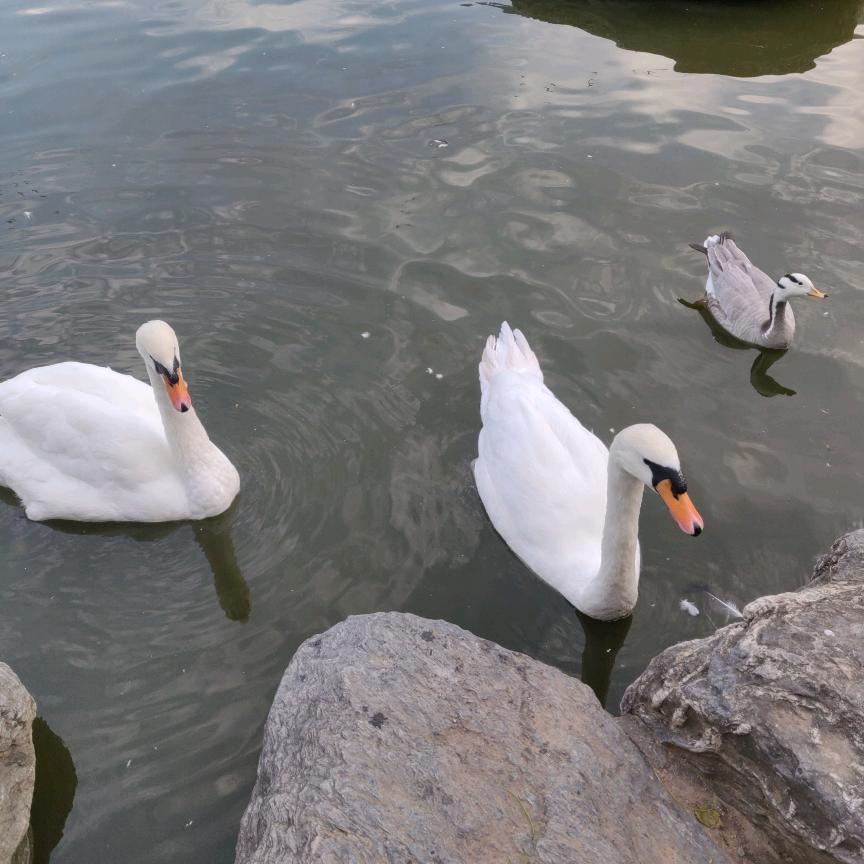 多想找回以前的我💋💋🙅🌟✨