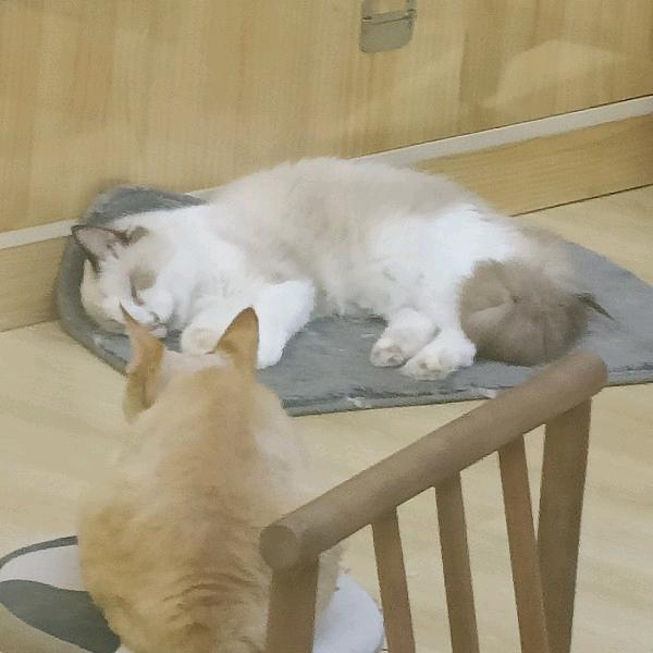 时间管理大师