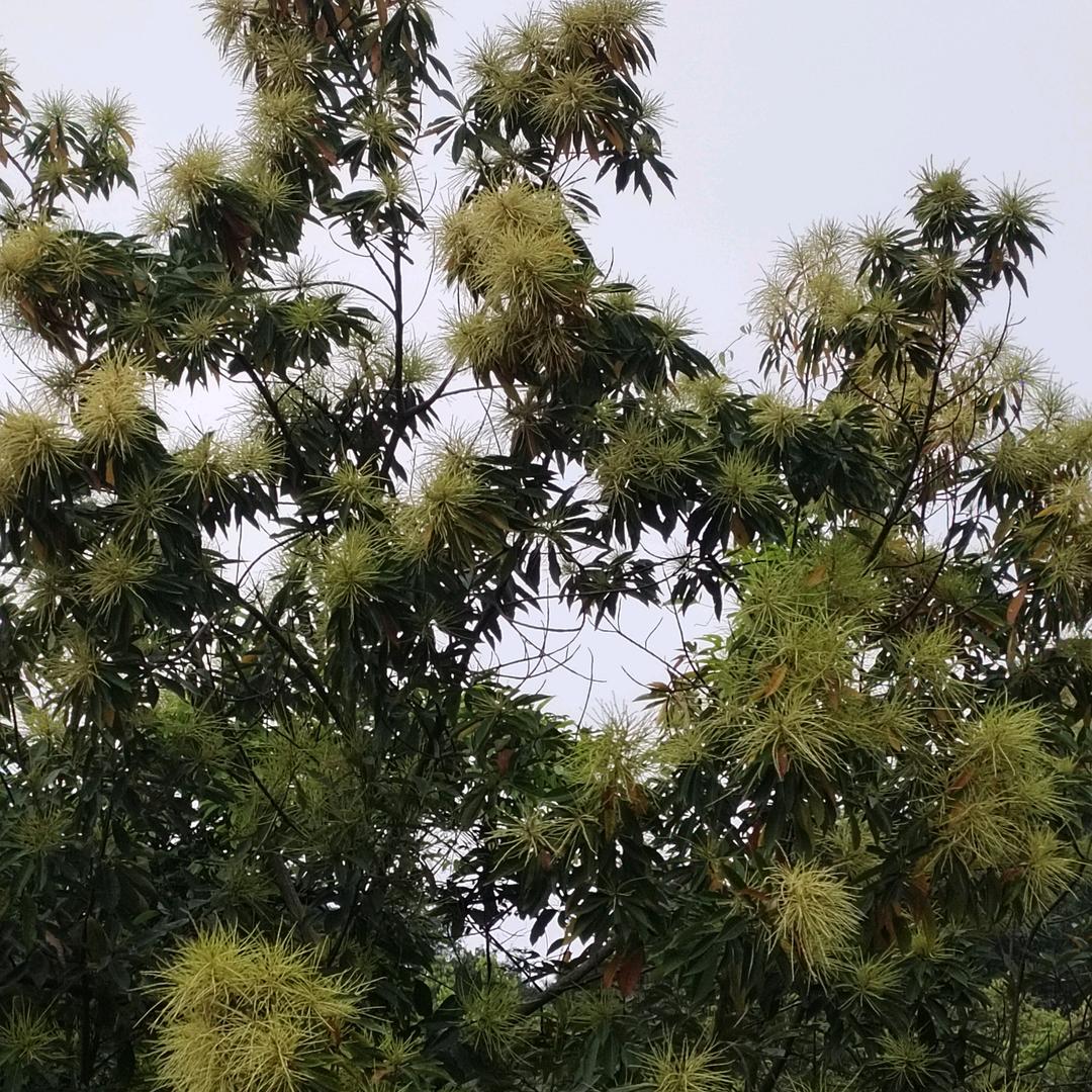 一抹阳光