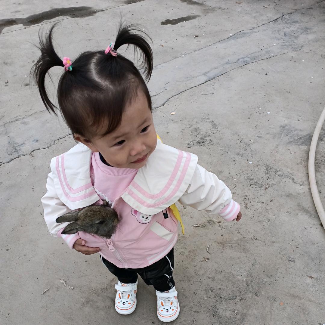 梅姐