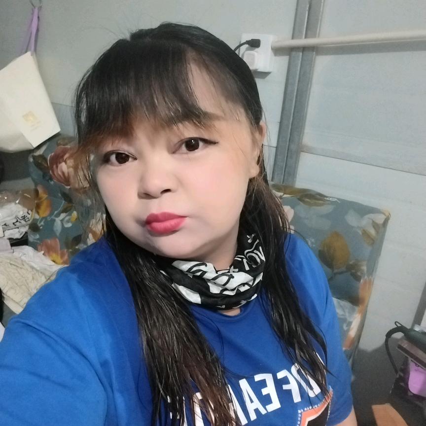 燕子zy