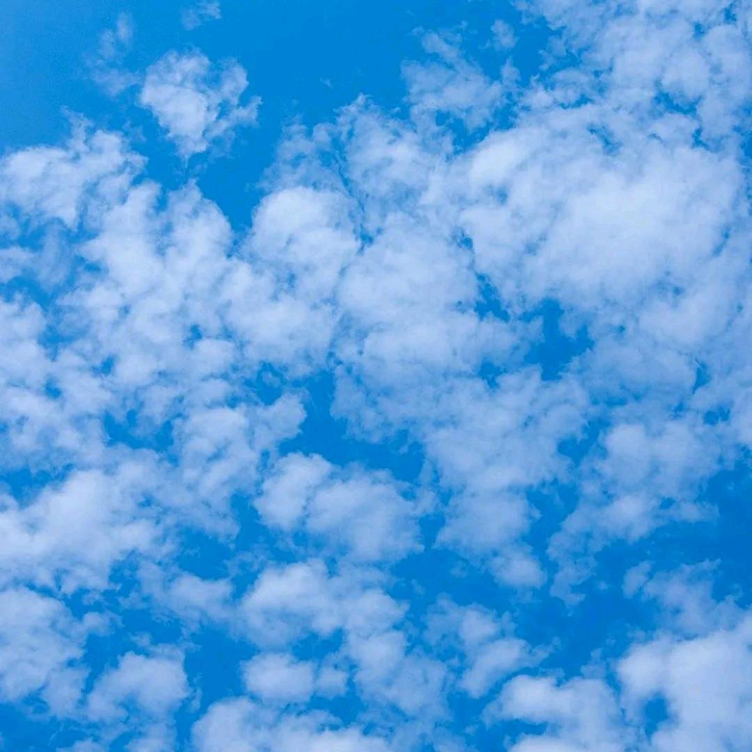蓝天白云✔