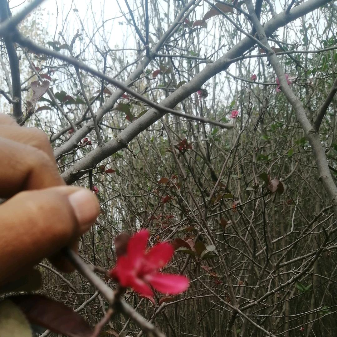 无所谓的平常心