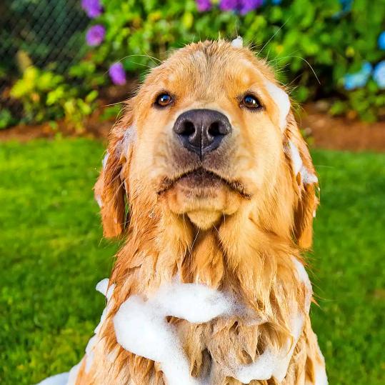 。。。，，，，