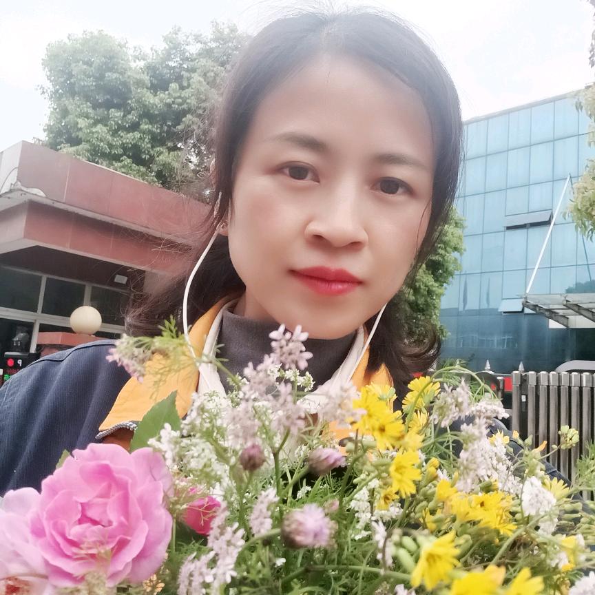 起风啦、