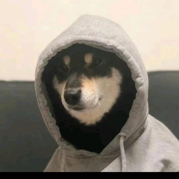念珠丸