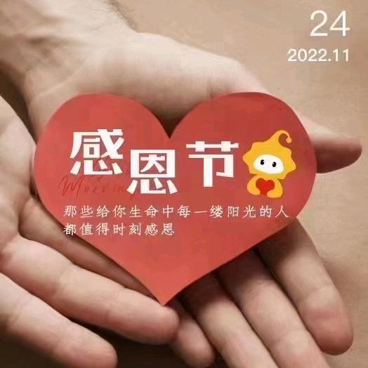 抹平我的伤口