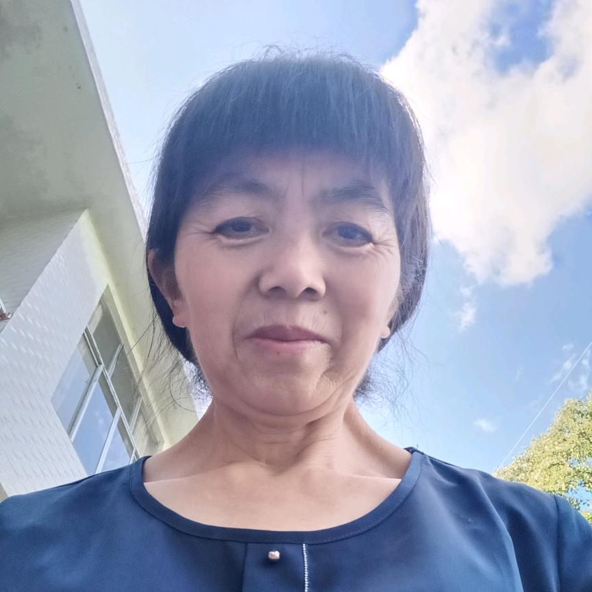 四季莲花