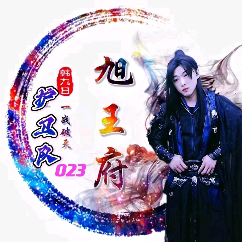 护卫023【旭王府】开心的洋葱