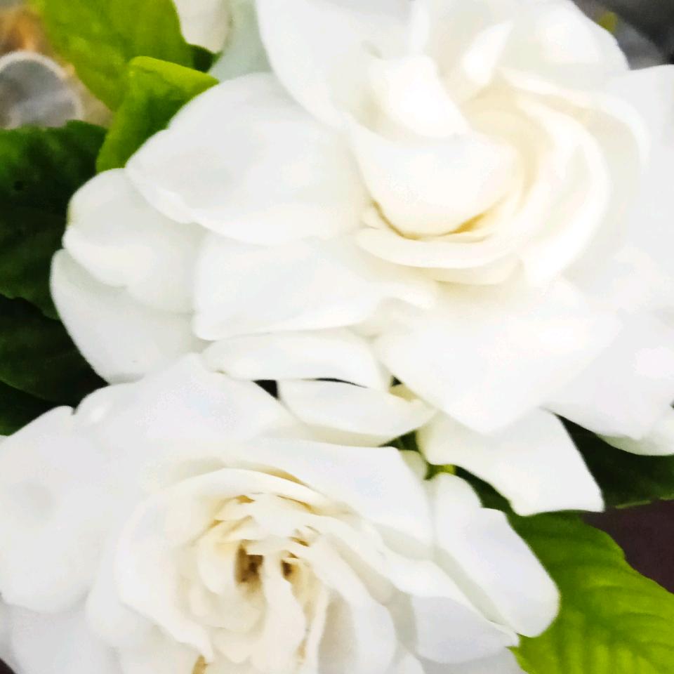 前路浩浩荡荡，万事皆有可待