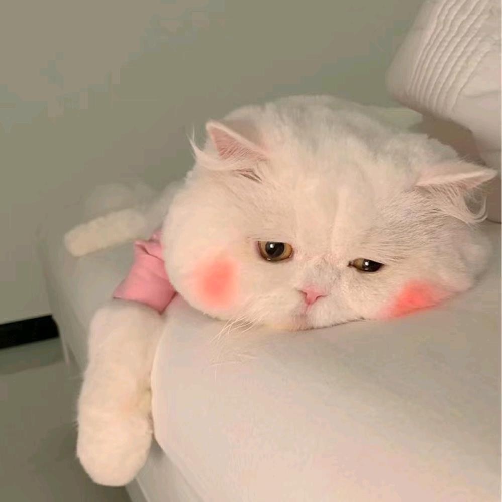 ～可乐