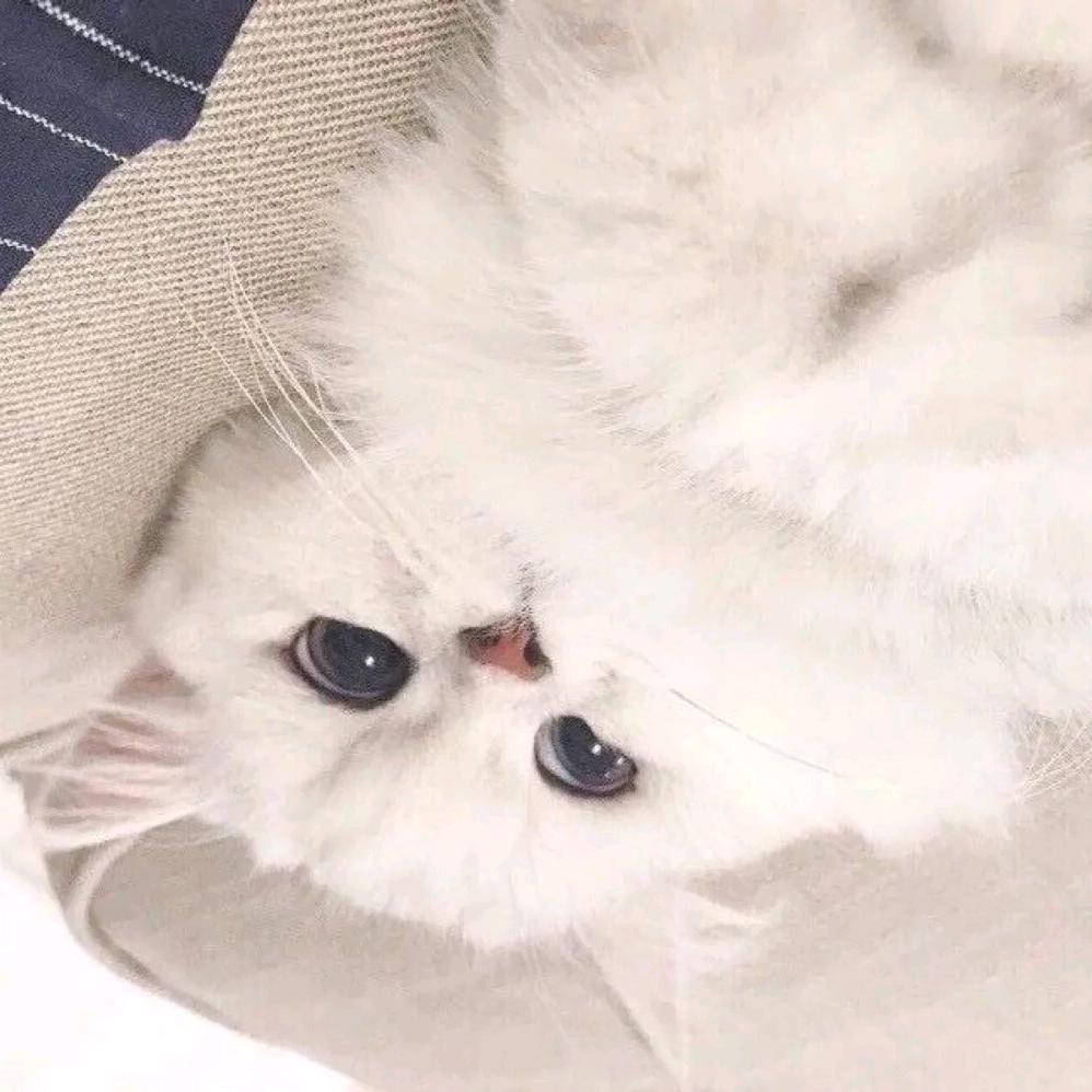 Lㅤ